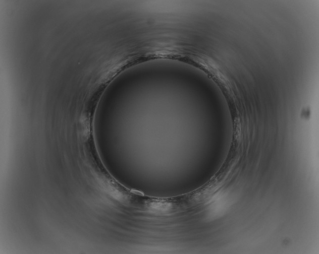 X0000091480471200708161422