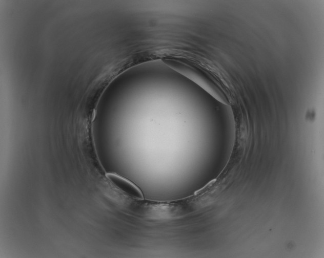 X0000091480473200708161422