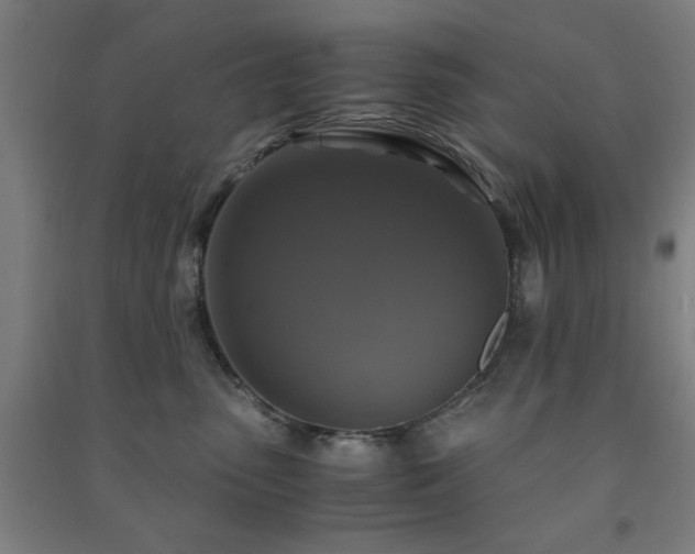X0000091480475200708161422