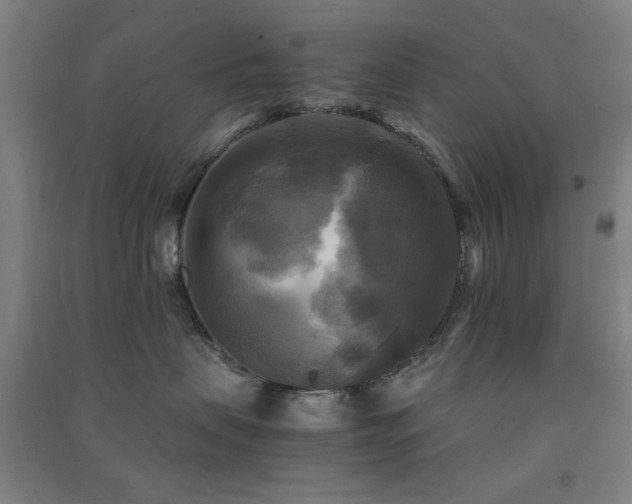 X0000091480479200708161422