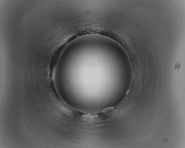 X0000091480480200708161422