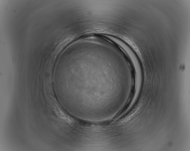 X0000091480481200708161421