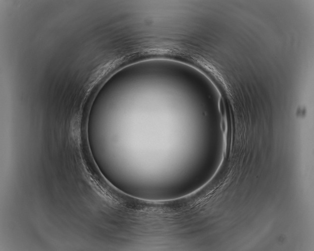 X0000091480482200708161421