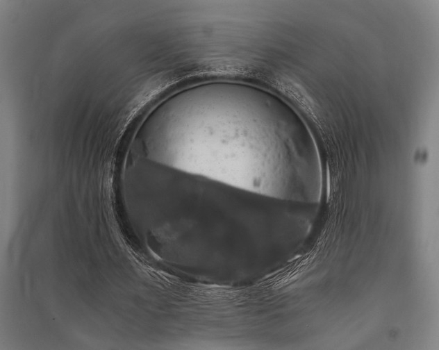 X0000091480483200708161421