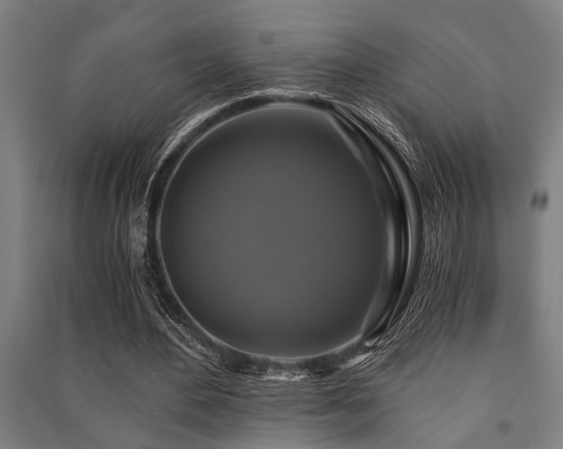 X0000091480484200708161421