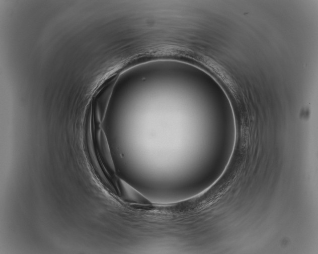 X0000091480485200708161421
