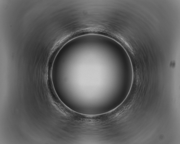 X0000091480486200708161421