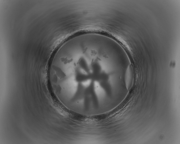 X0000091480487200708161421