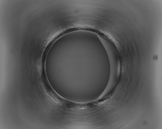 X0000091480488200708161421
