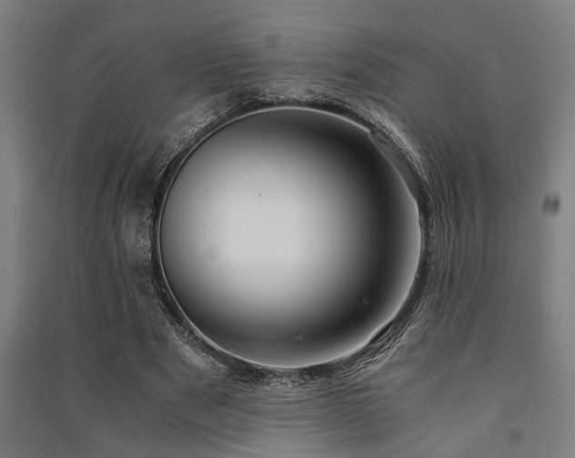X0000091480489200708161421