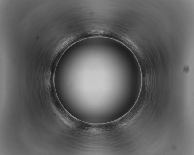 X0000091480490200708161421