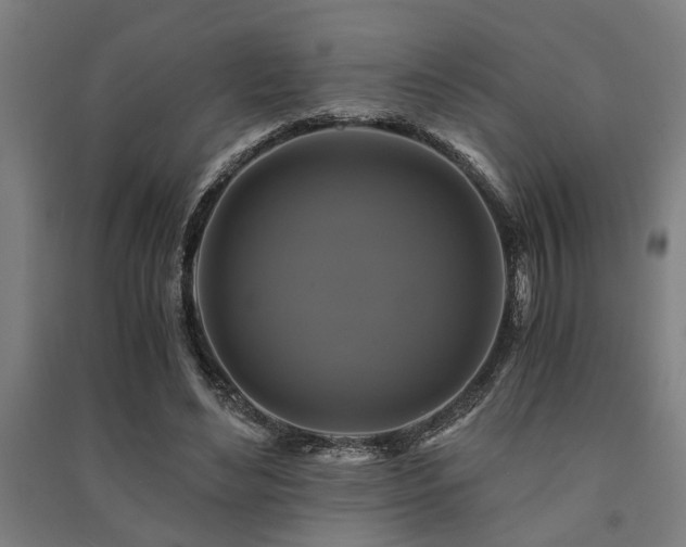 X0000091480492200708161421
