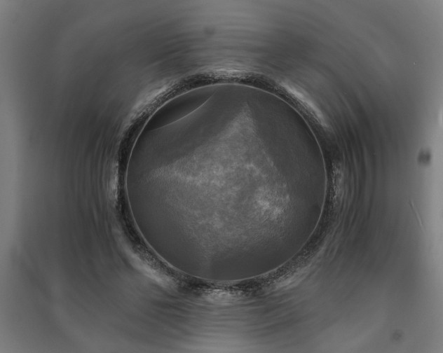 X0000091480494200708161421