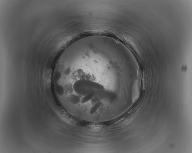 X0000091480495200708161421