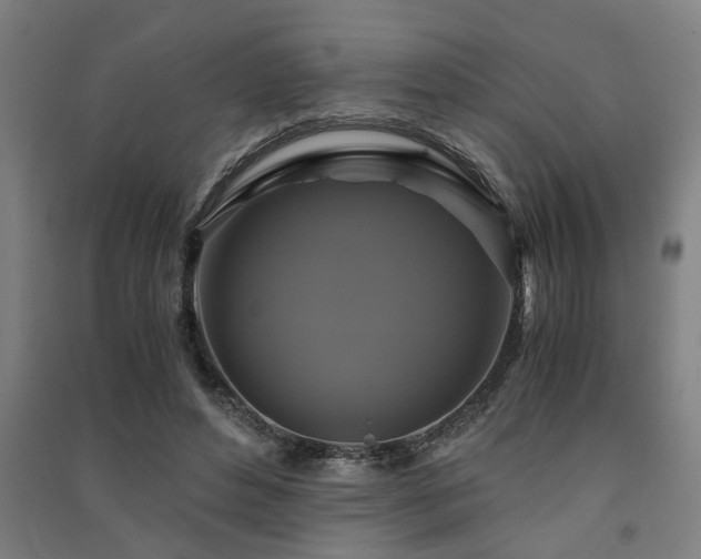 X0000091480496200708161421