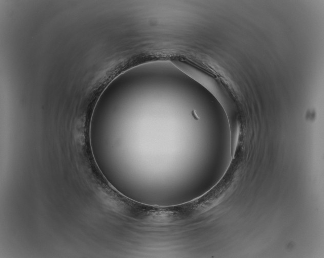 X0000091480497200708161421