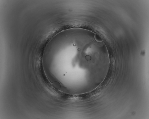 X0000091480499200708161421