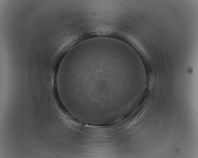 X0000091480501200708161421