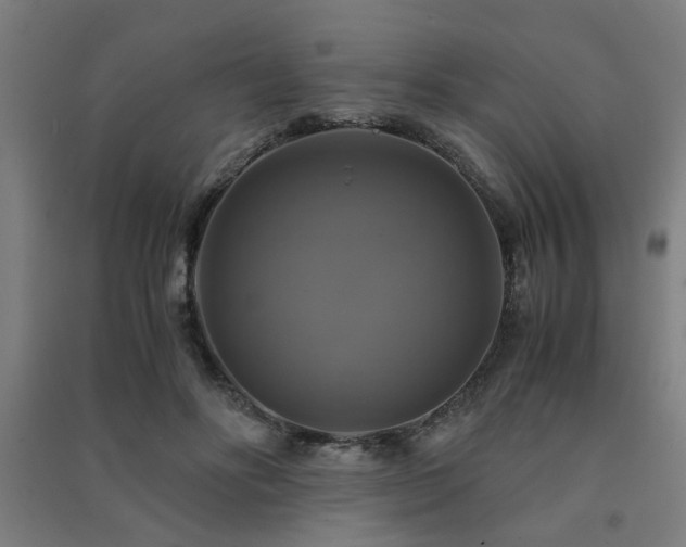 X0000091480502200708161421