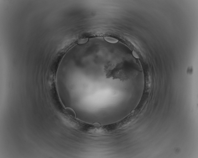 X0000091480503200708161421