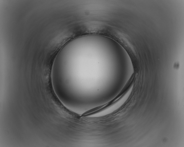 X0000091480505200708161421