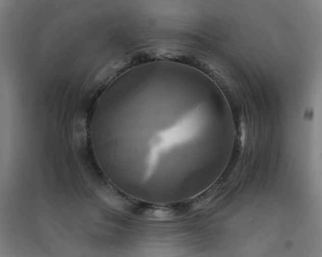 X0000091480506200708161421