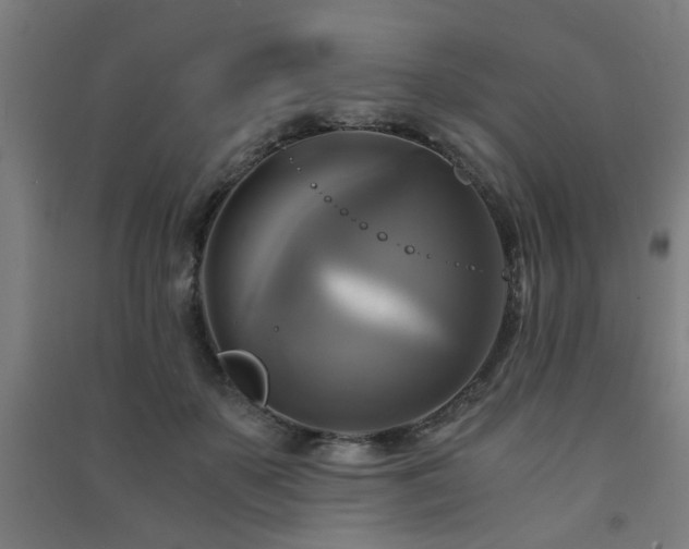 X0000091480507200708161421