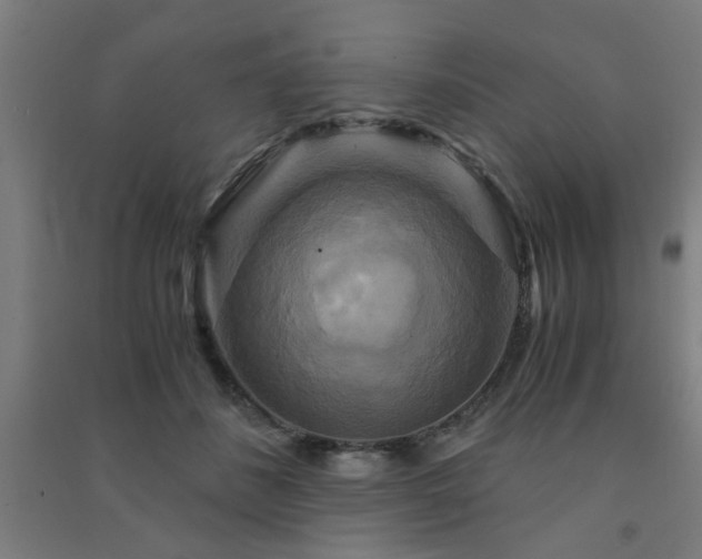 X0000091480508200708161421