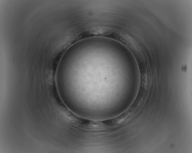 X0000091480510200708161421