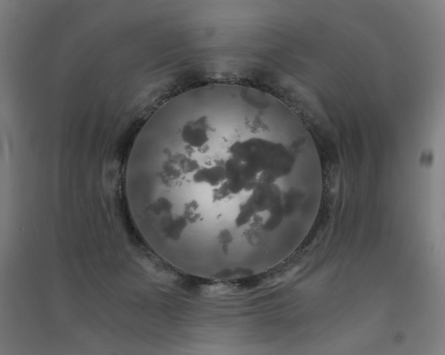X0000091480511200708161421