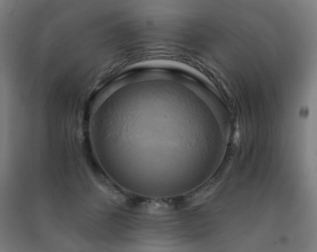 X0000091480512200708161421