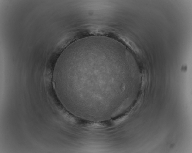 X0000091480513200708161421
