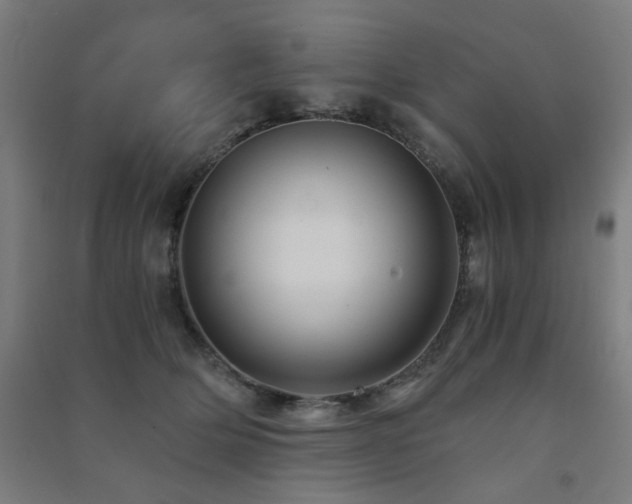 X0000091480514200708161421