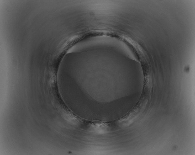 X0000091480517200708161421