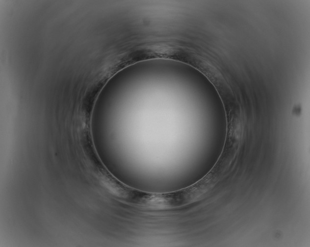 X0000091480518200708161421