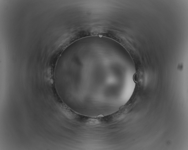 X0000091480519200708161421