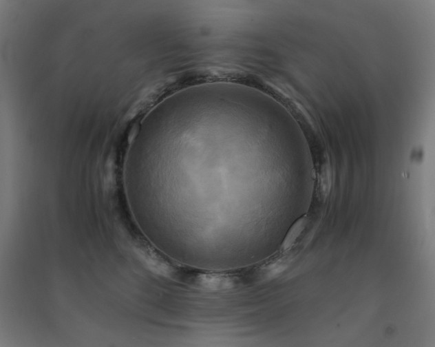 X0000091480520200708161421