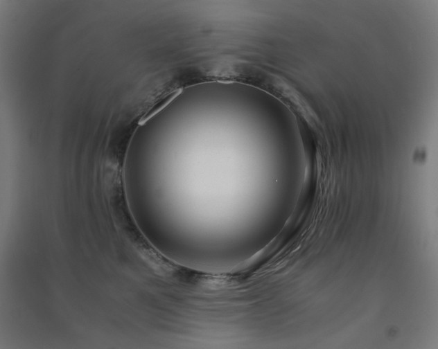 X0000091480521200708161421