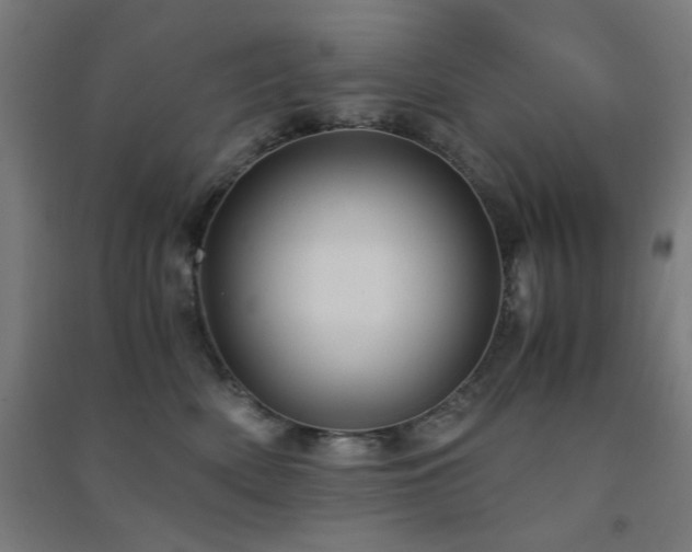 X0000091480522200708161421
