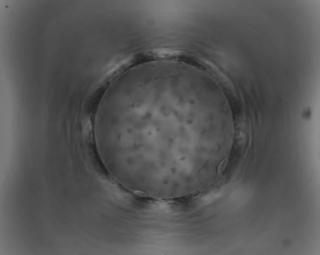 X0000091480523200708161421