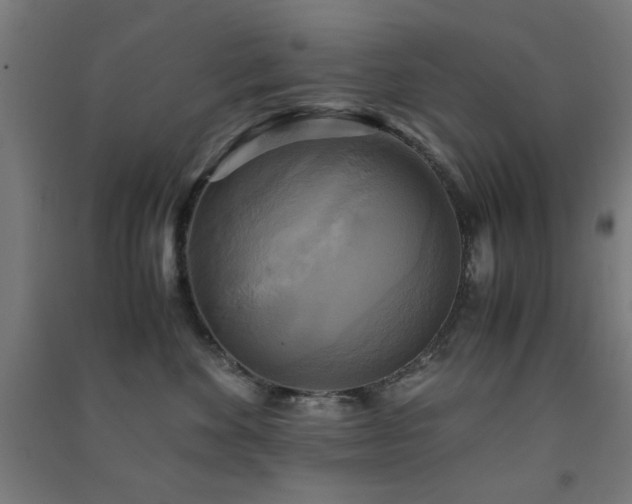 X0000091480524200708161421