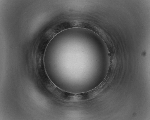 X0000091480525200708161421