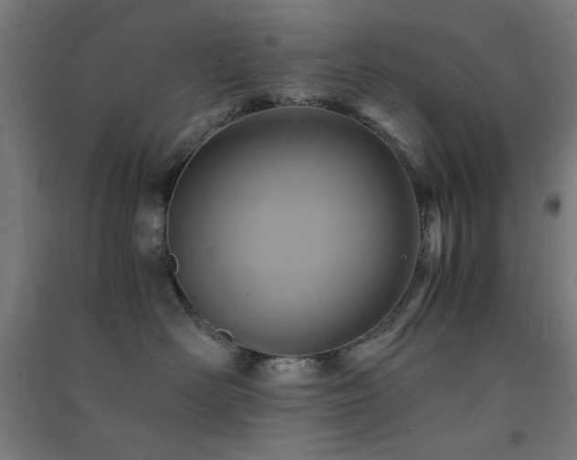 X0000091480526200708161421