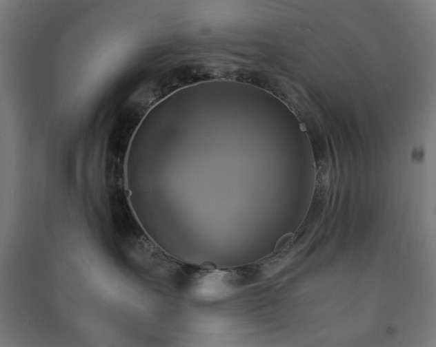 X0000091480527200708161421