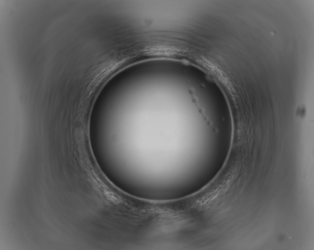 X0000091480529200708161420