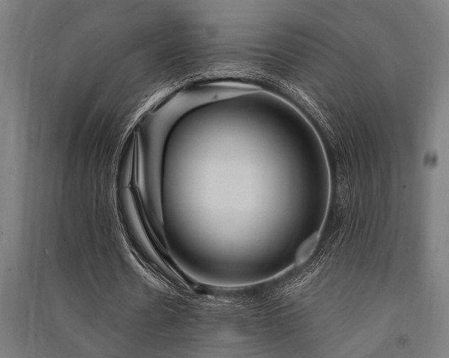 X0000091480530200708161420