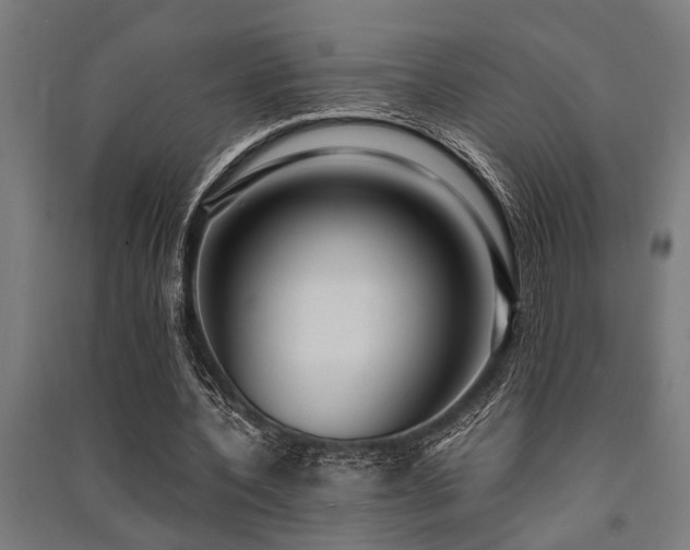X0000091480532200708161420