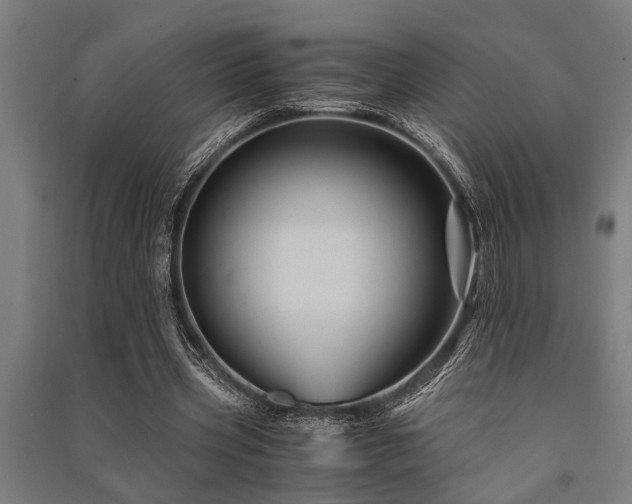 X0000091480533200708161420