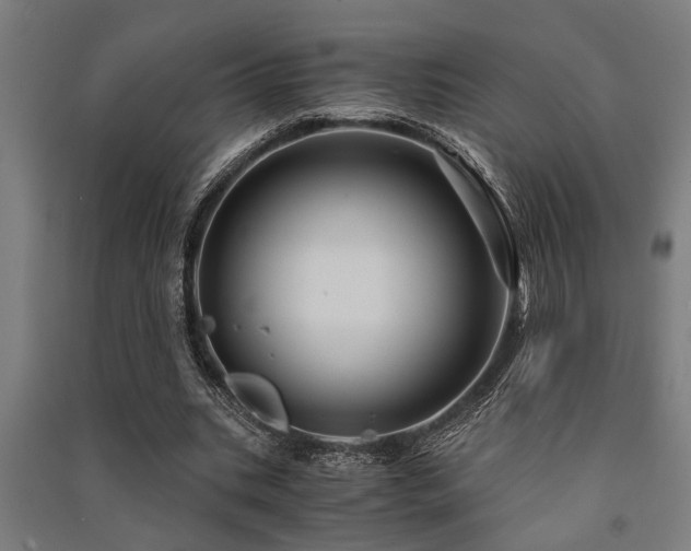 X0000091480535200708161420