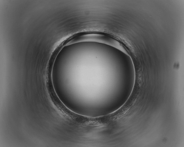 X0000091480536200708161420